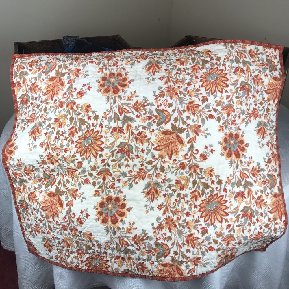 2 French Paisley Floral Throw Pillow Cover Case